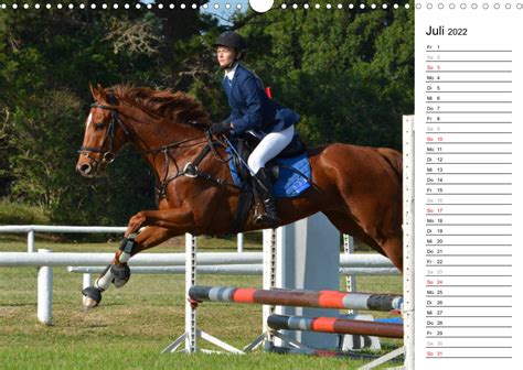 springreitturniere|reitturniere kalender.